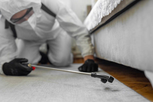 Professional Pest Control technician working in Milam County County, TX